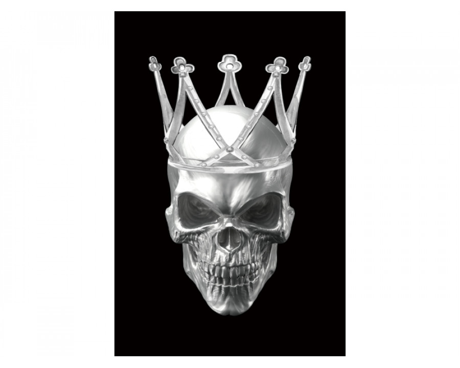 Картина на склі SKULL II 80X120