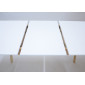 Exen II Intarsio Стіл обідній 120 (160) х80 см Білий