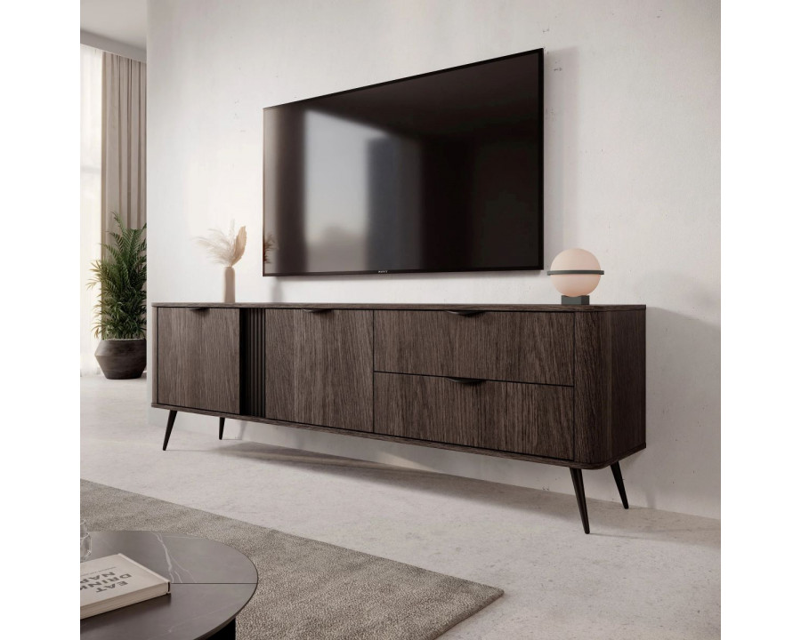 Тумба під ТВ Веріс / Veris 2D2S/195 2-дверна з 2 шухлядами Дуб дунін/чорний